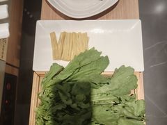 -蝎王府羊蝎子(西直门店)