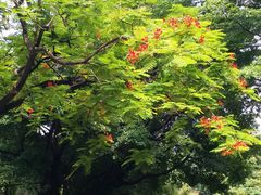 -晓港公园