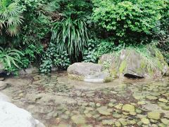 -蝴蝶泉公园