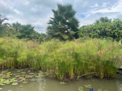 -中国科学院西双版纳热带植物园