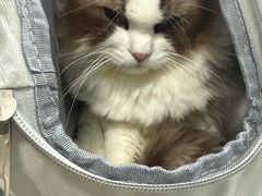 -嘉馨宠物医院·CT影像转诊·心脏科·犬猫全科诊疗中心(下沙大学城院区)