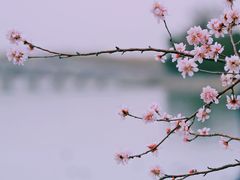 -颐和园