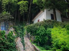 -莫干山风景区