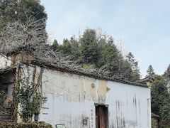 -杨家堂村