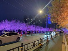 -西北湖绿化广场