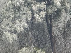 -紫金山索道-售票处