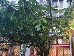 -野渡坡·极致湘菜·庭院餐厅(汉阳店)