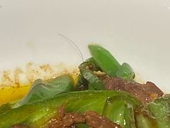 -唐猛猛湘乐汇(银泰城店)