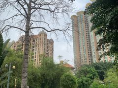 -晓港公园