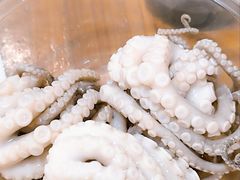 -安海五叔公土笋冻(西街店)