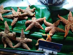 -舜耕山庄四时万和自助餐厅