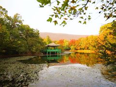 -灵谷景区