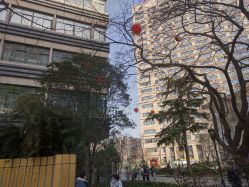 -河南中医药大学第一附属医院-医疗整形