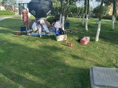 -铁山坪森林公园