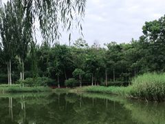 -大兴滨河森林公园