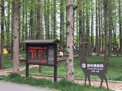 -渡海小渔村.老辈日照菜