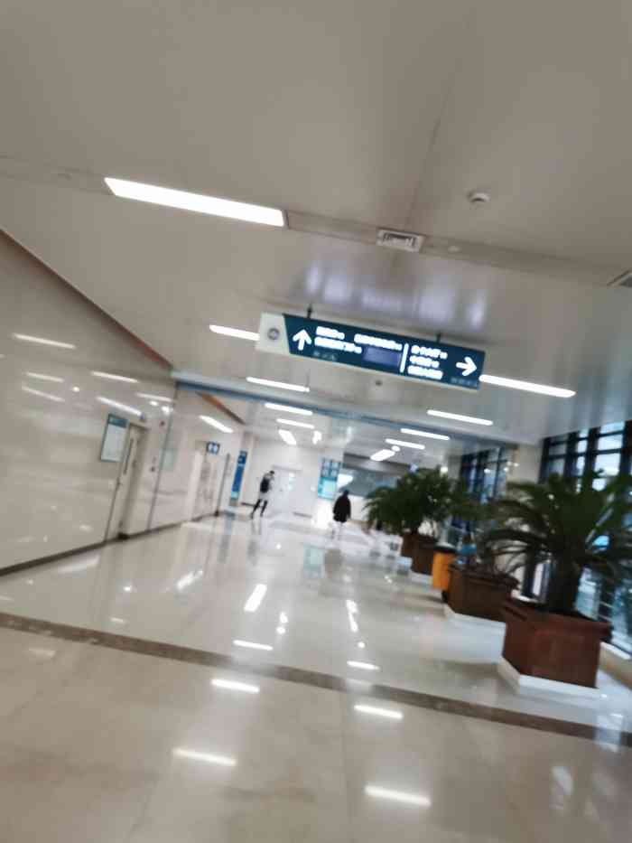 山东省立医院东院区图片