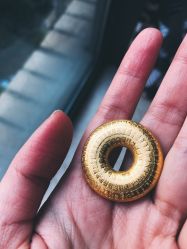 点击看大图 -周大福CHOW TAI FOOK(南京东路永安百货店)