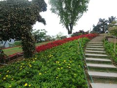 -铁山坪森林公园