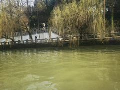 -运河游船(武林门码头)