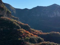 -黄金寨原生态旅游区