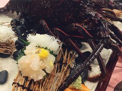 -活伊势龙虾料理 中纳言(千日前味乐馆店)