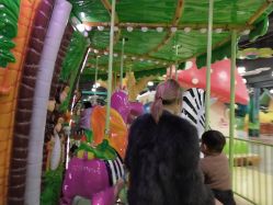 -维佳童话镇演出现场(徐东店)