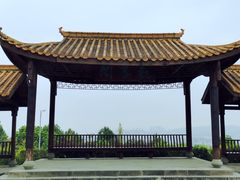 -铁山坪森林公园