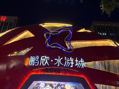 -鹏欣水游城