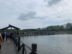 -溱湖国家湿地公园