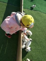 -萌宠亲子动物乐园(槐房万达店)