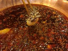 -老码头火锅(骡马市店)