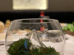 -汤城·料青山