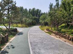 -回龙观体育文化公园