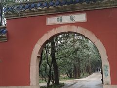 -南京国际会议大酒店
