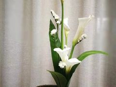 -白鹭原茶艺馆