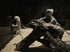 -太平洋海底世界