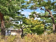 -景福宫