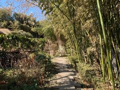 室外环境-春晖园度假酒店温泉