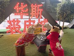 -肃宁华斯国际裘皮城