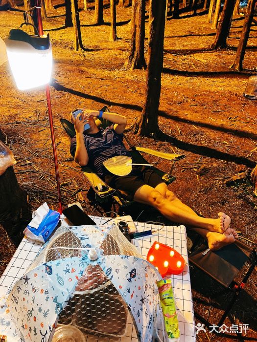 山王坪喀斯特国家生态公园图片