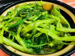 虾酱通菜-富来美食(成发大厦店)