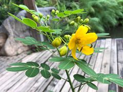 -天芳悦潭度假村温泉