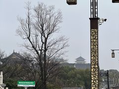 -观潮胜地公园