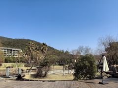 -宁波九龙湖开元度假村