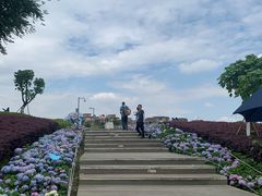 景点-天府芙蓉园