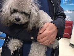 -申普宠物医院·眼科·心内科·影像科(普陀分院)