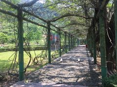 -桂山风景旅游区