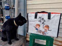 -阿娟牛肉丸·手打牛肉丸·现做现卖