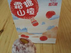 -金砂公园